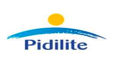 pidilite litokol private limited